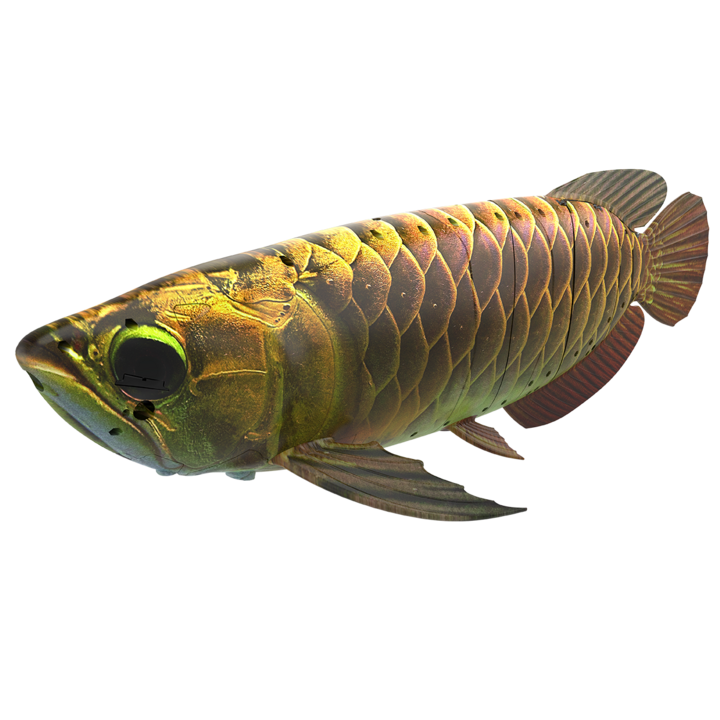 仿生机器金龙鱼平台BG1-5