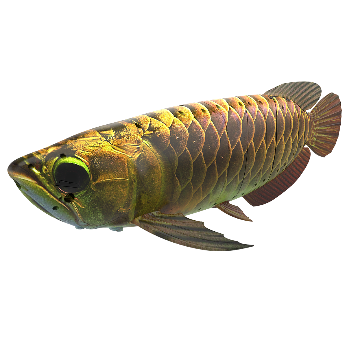 仿生機(jī)器金龍魚平臺(tái)BG1-5