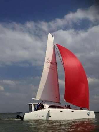 Freego 41 双体帆船