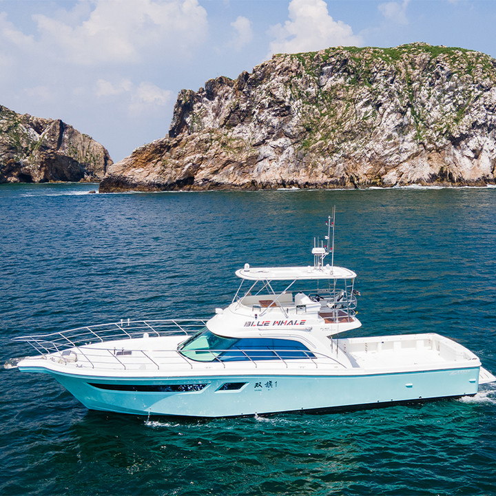 百璐威FL60游钓艇