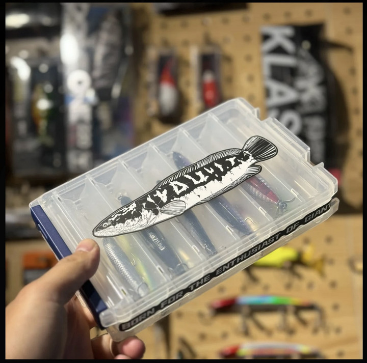 Monster Enthusiast 巨物狂热者 路亚贴纸（小盾鳢）