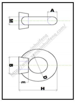 DIN582螺母 AISI304/316