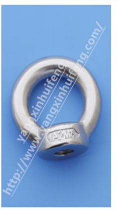 DIN582螺母 AISI304/316