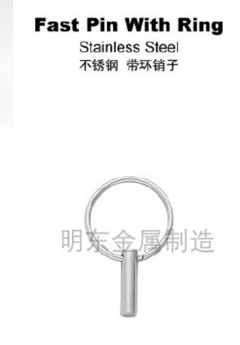 不锈钢 带环销子