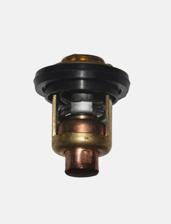 15F恒溫器50
