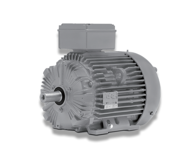IEEE841系列電機(jī)