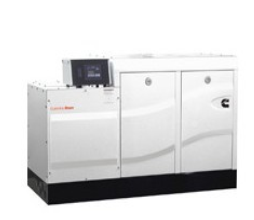 Cummins Onan 发电机组50 QD MDDCG