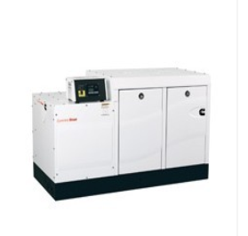 Cummins Onan 发电机组55 QD MDDCB