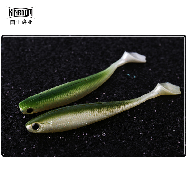 开腹T尾软鱼
