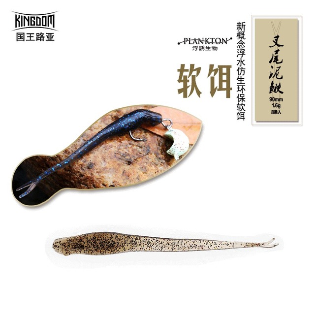 叉尾泥鳅