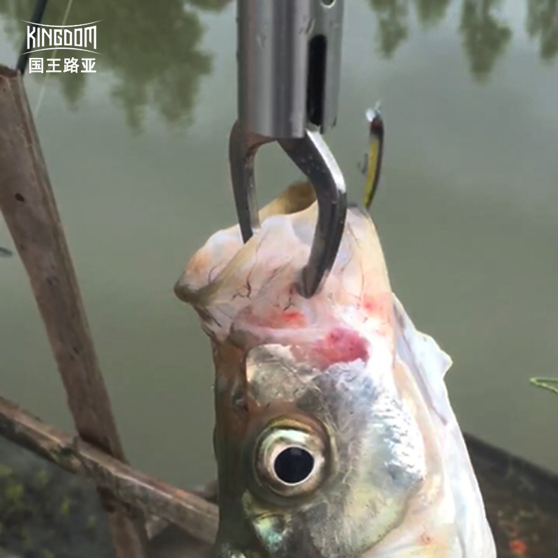 内镭射浮水米诺