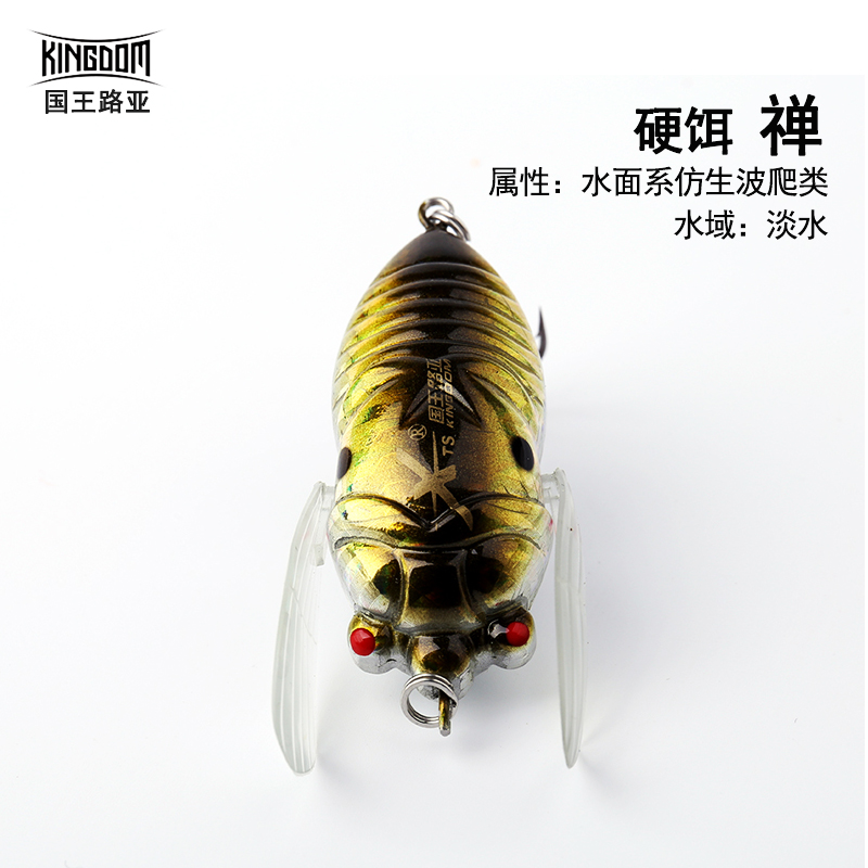 蝉