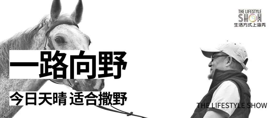 一路向野 | 《馬語者云馬場》你好，馬兒！