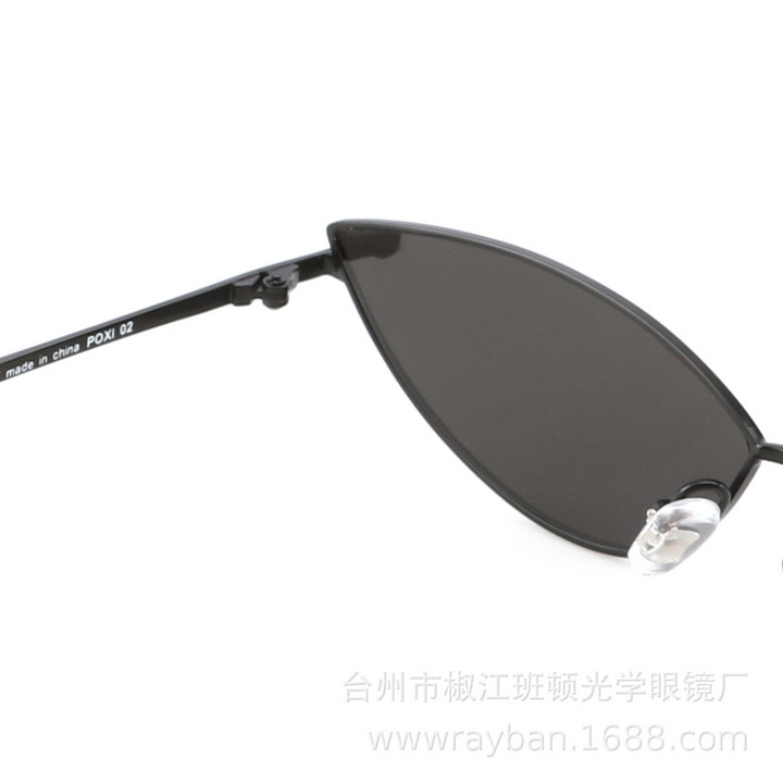 新款偏光太阳镜POXI 02新款复古墨镜时尚网红眼镜工厂批发热卖