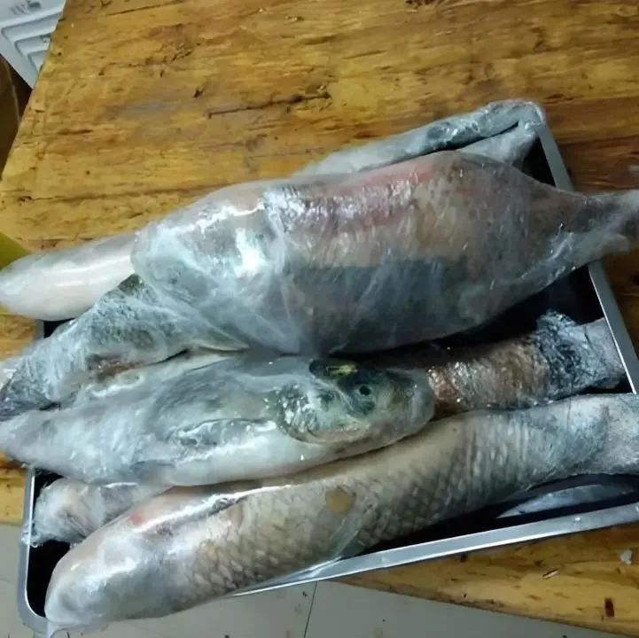 展会观察 | 路亚展上的新鲜事:西格的黑科技新品与治猪精工的轻量化装备