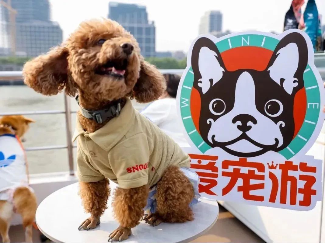 這個端午，魔都這些玩水勝地開放了！