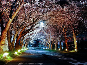 集群展 | 赋能文旅夜经济！2026 上海户外照明展，与您共绘新篇!