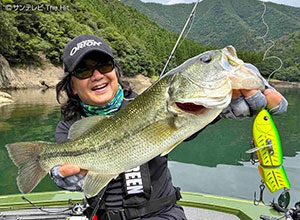 EVERGREEN：追求极限，颠覆赛场！