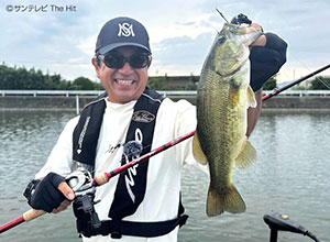 EVERGREEN：追求极限，颠覆赛场！