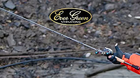 EVERGREEN：追求极限，颠覆赛场！