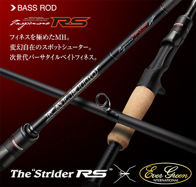 EVERGREEN：追求极限，颠覆赛场！