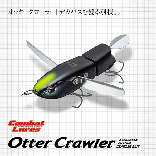 EVERGREEN：追求极限，颠覆赛场！