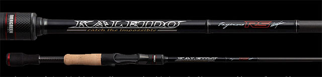 EVERGREEN：追求极限，颠覆赛场！