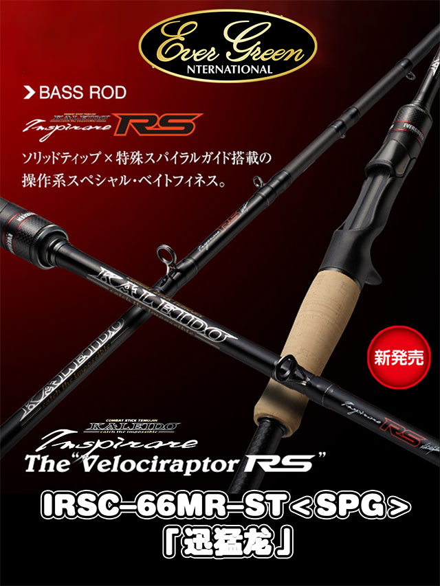 EVERGREEN：追求极限，颠覆赛场！