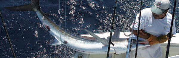 IGK德信 | 以匠心锻造锋利,用科技铸就强悍 IGK德信 | 以匠心锻造锋利,用科技铸就强悍