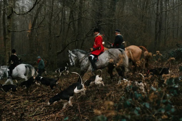 Wilder攜手China Hunting Show帶你進(jìn)入純正英式貴族射擊