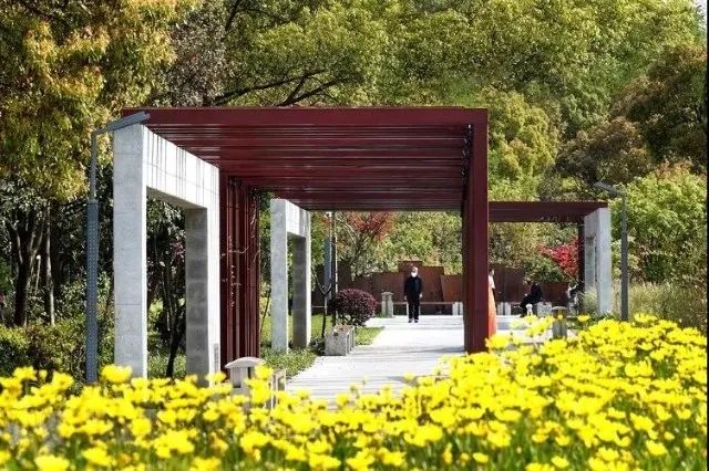 想不想稱霸微信，螞蟻能量收到手軟？