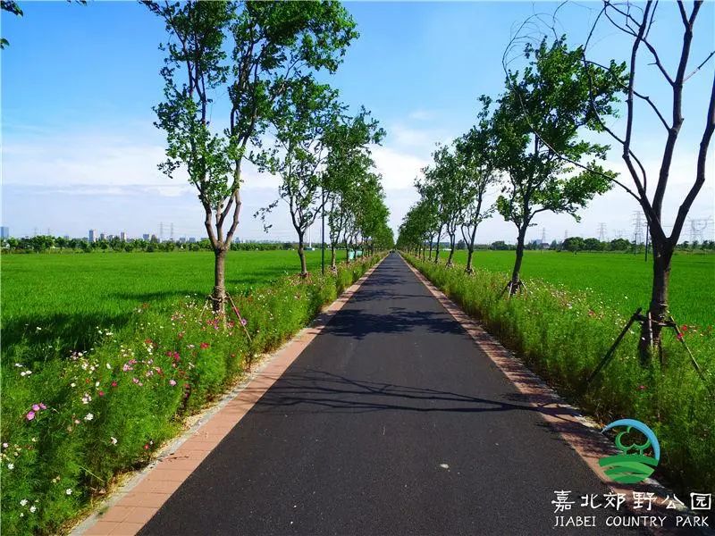 想不想稱霸微信，螞蟻能量收到手軟？
