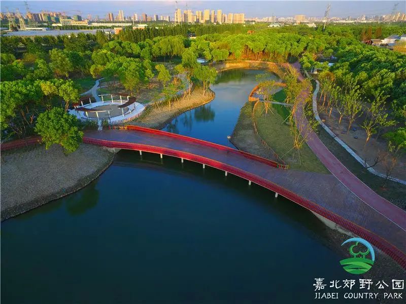 想不想稱霸微信，螞蟻能量收到手軟？
