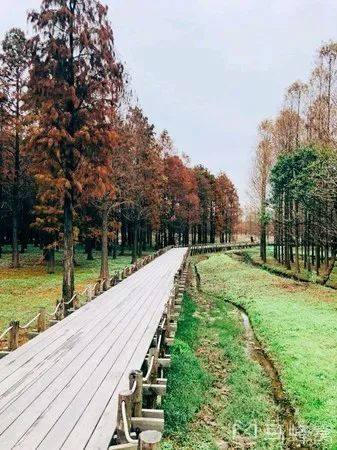 想不想稱霸微信，螞蟻能量收到手軟？