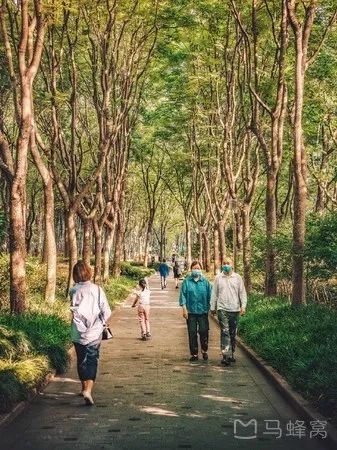 想不想稱霸微信，螞蟻能量收到手軟？