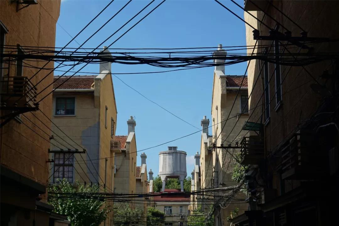 秋天上海哪里最美？走過(guò)這6條馬路就知道