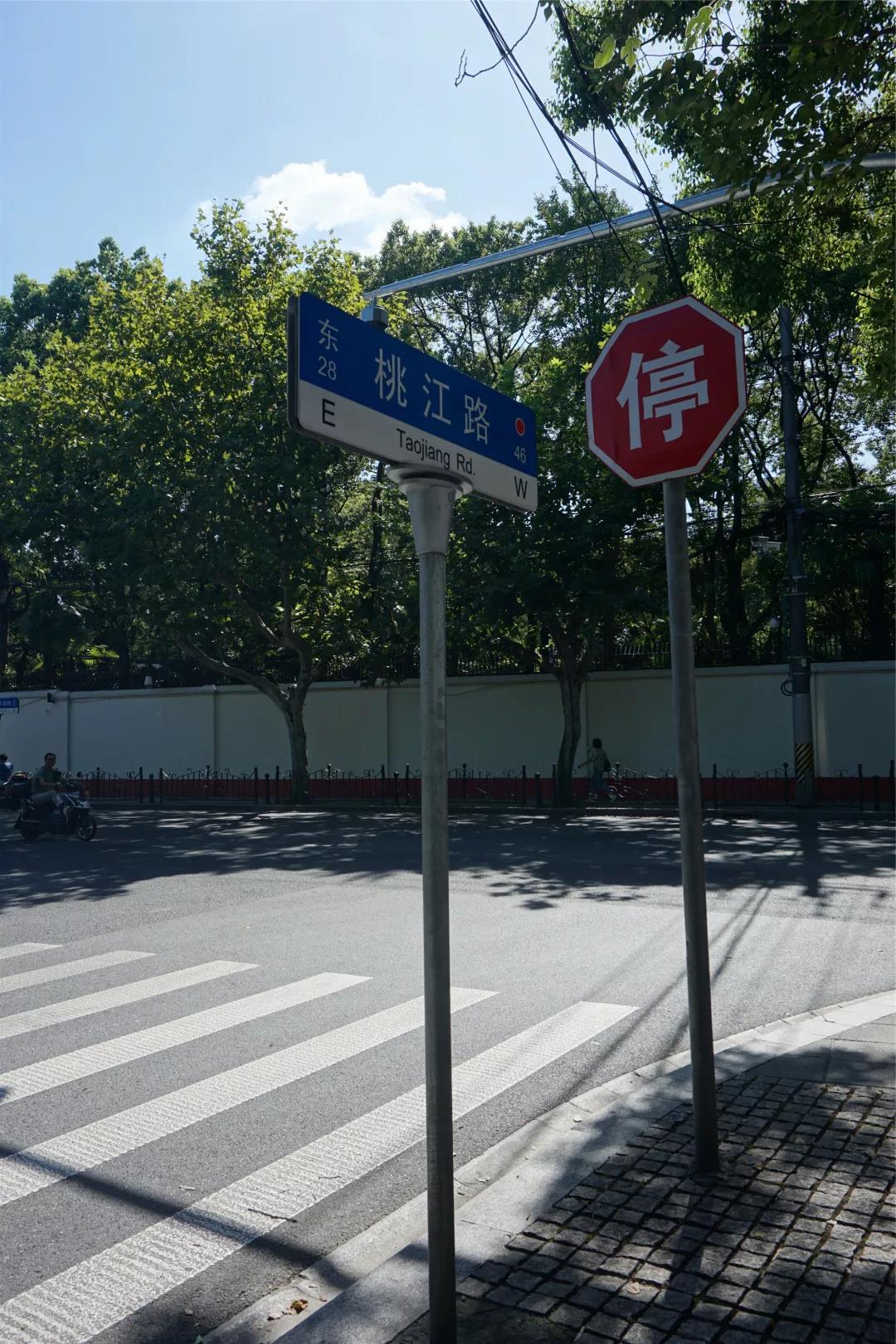 秋天上海哪里最美？走過(guò)這6條馬路就知道