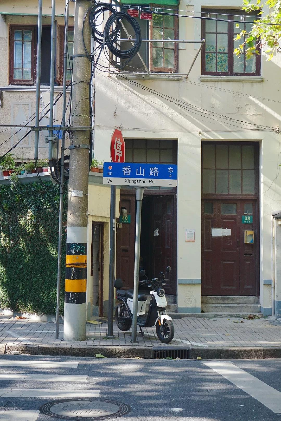 秋天上海哪里最美？走過(guò)這6條馬路就知道