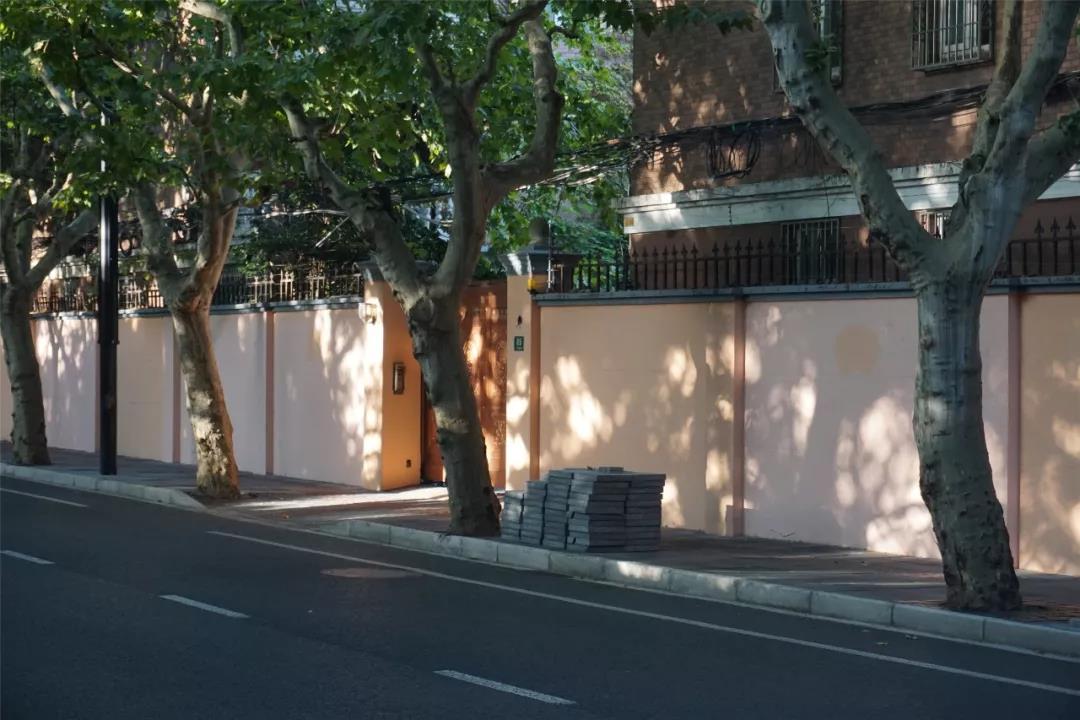 秋天上海哪里最美？走過(guò)這6條馬路就知道