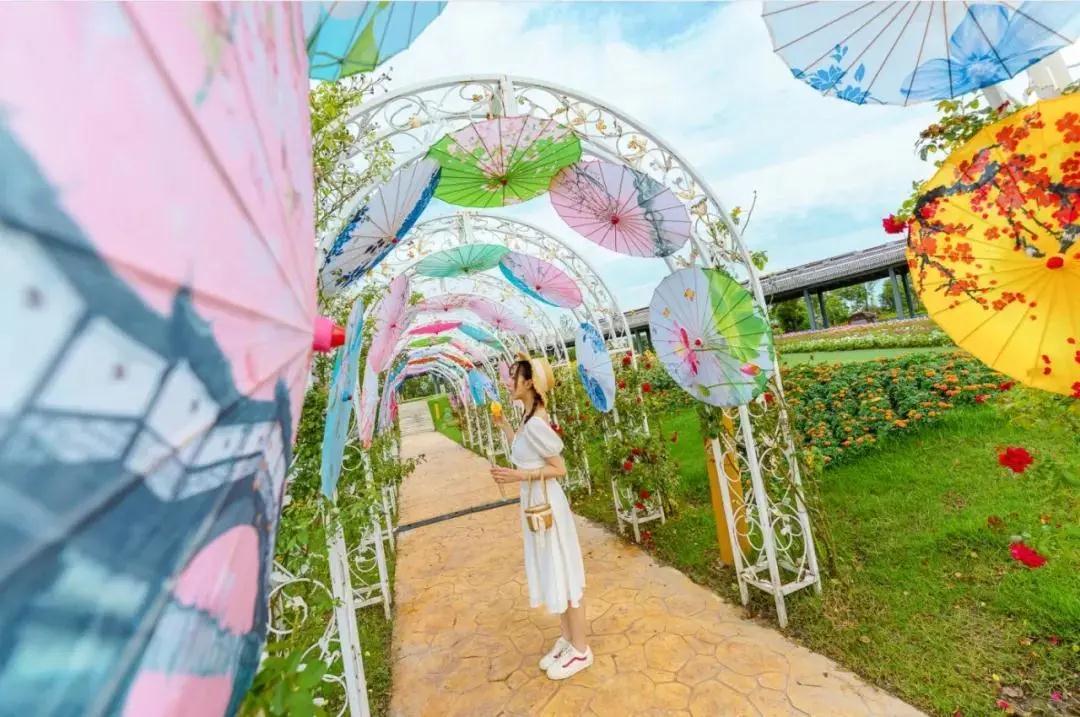 秋天賞什么？上海秋季賞花地圖給你找來了，先收著~