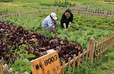 君领游艇俱乐部餐饮美食