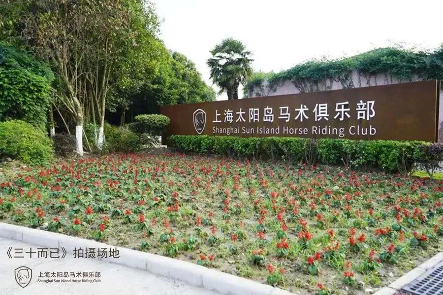 不裝了，我花了30萬(wàn)終于找到白馬王子！