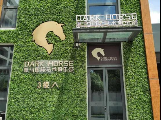 不裝了，我花了30萬(wàn)終于找到白馬王子！