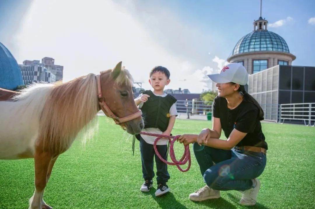 不裝了，我花了30萬(wàn)終于找到白馬王子！