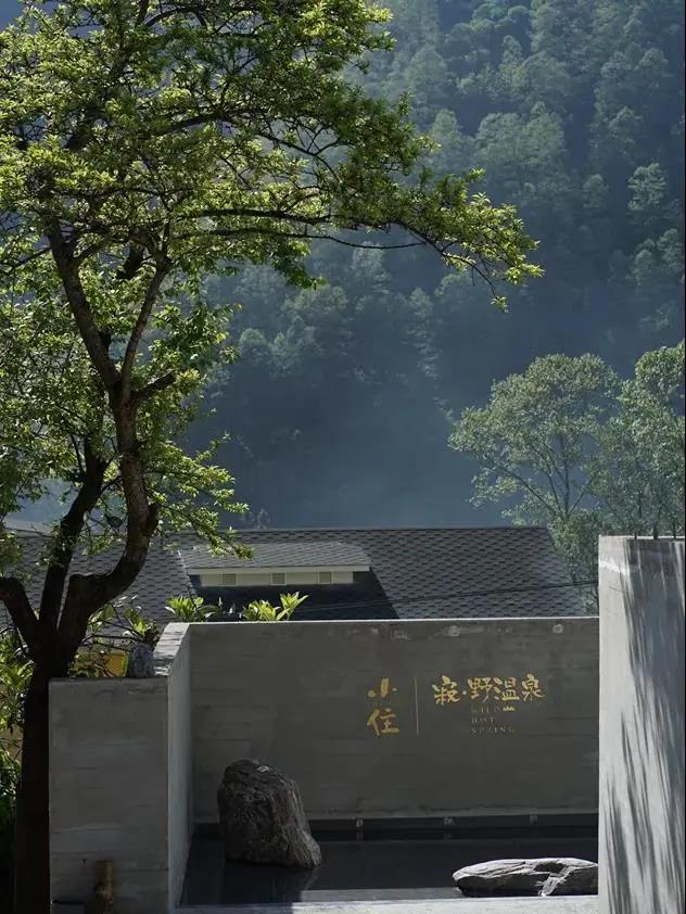 我們找到了“貓冬”的正確打開方式！