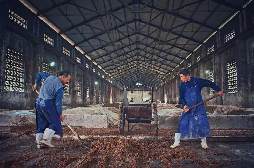 我們找到了“貓冬”的正確打開方式！