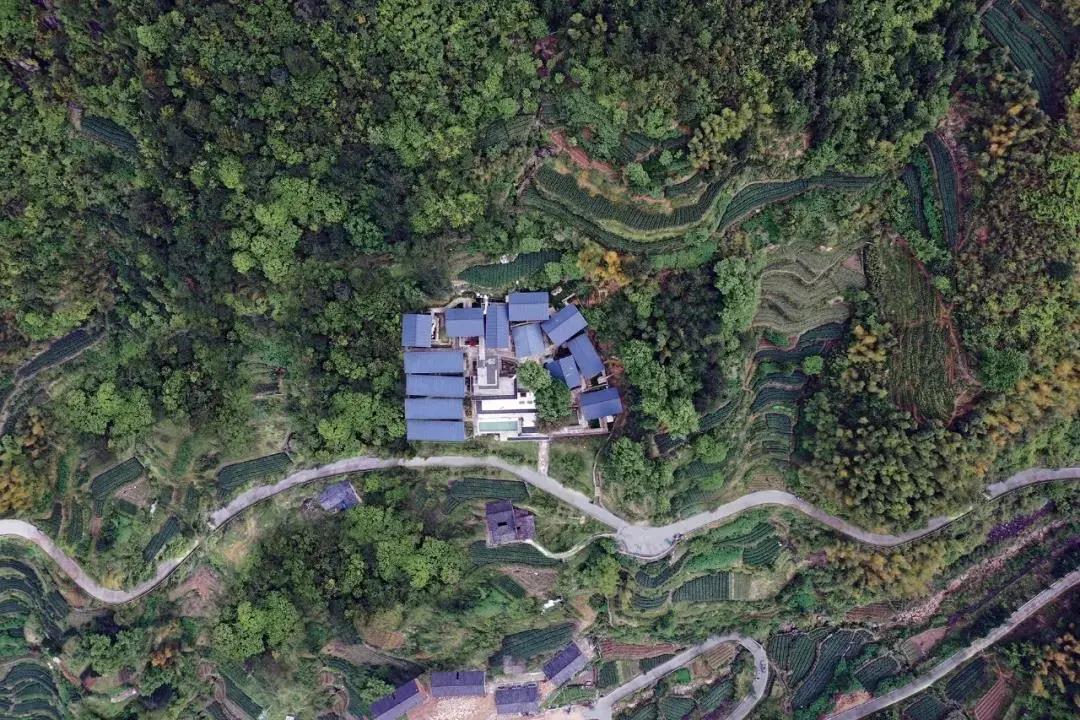 我們找到了“貓冬”的正確打開方式！
