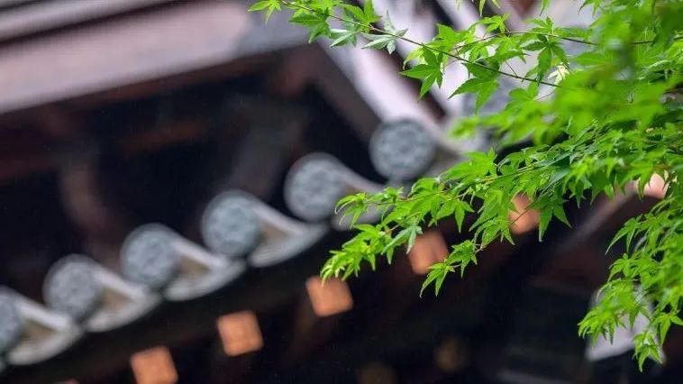 為你揭秘民宿的“幕后高手”