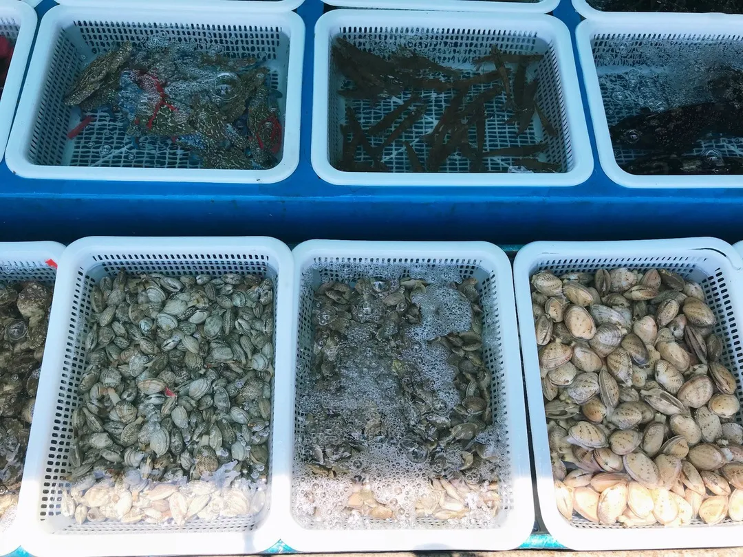 用一條船 丈量一片海